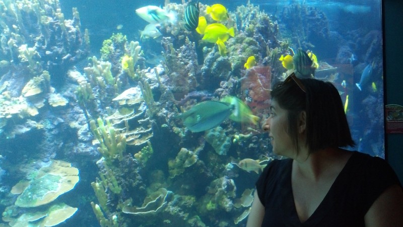Maui Aquarium