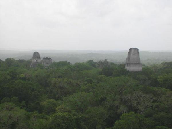 View from the top of Temple 3, Tikal