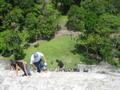 Climbing the Temple of the Sun, Tikal