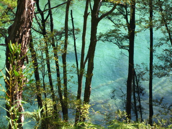 The clear waters of Abel Tasman National Park