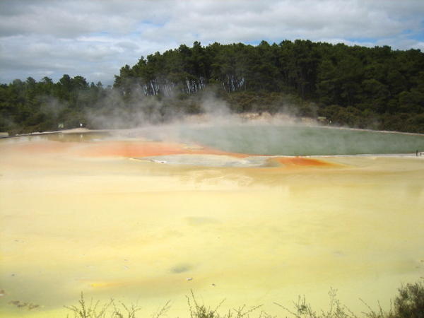 The world in action - geothermal activity at Wai-o-tapu