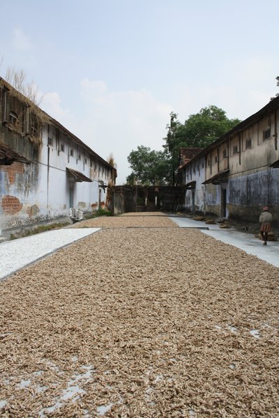 Ginger Factory Fort Cochin