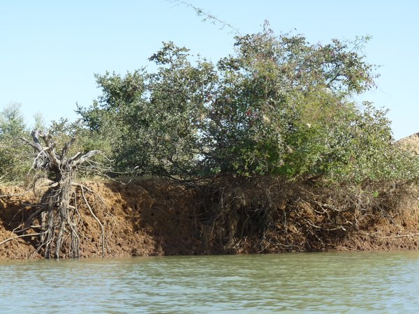 Niger river trip
