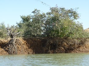 Niger river trip