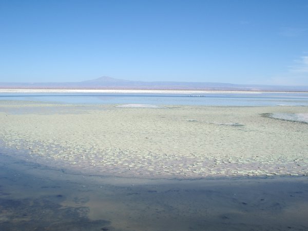 Toconao and Salar de Atacama