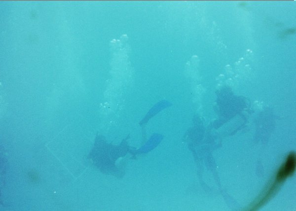 Diving 6