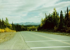 The Road North The Road North