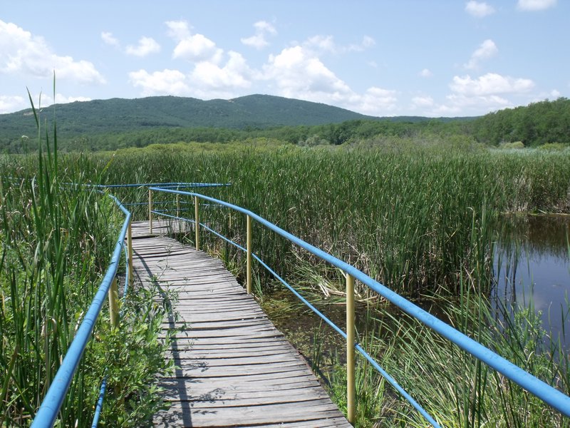 Marshland near Sozopol
