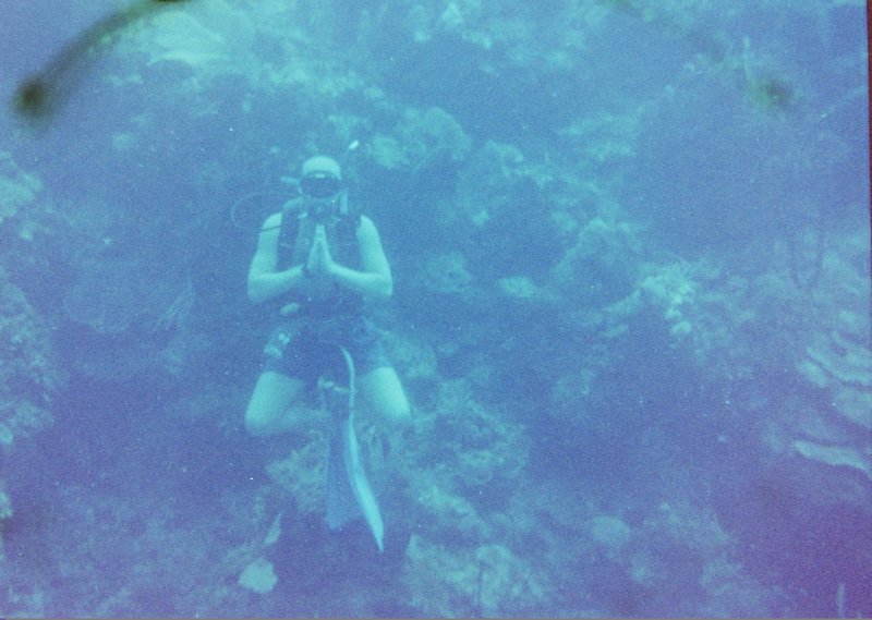 Diving in Honduras