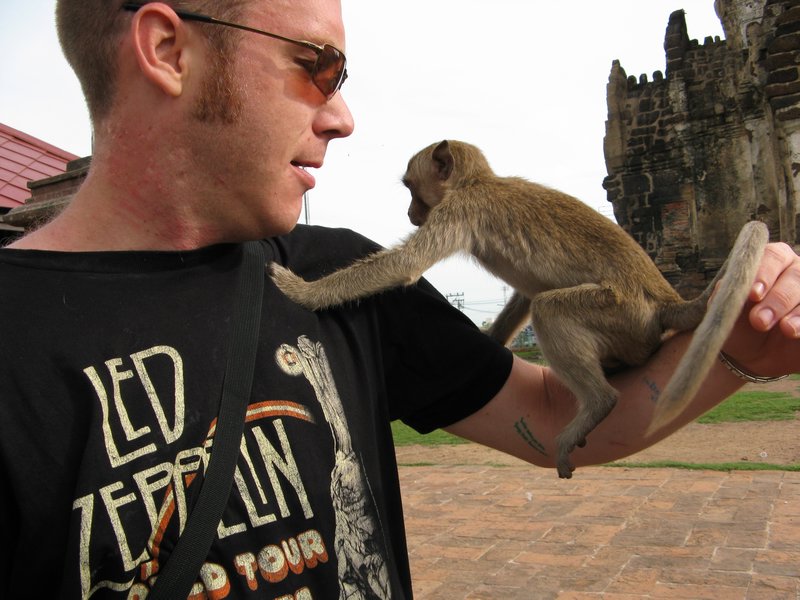 Playing with Wild Monkies