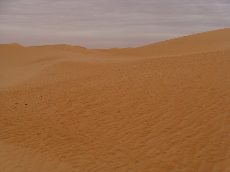 Sahara in Mauritania
