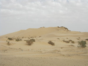 Driving Passed Sand Dunes
