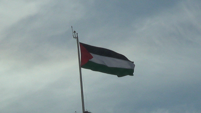 The Palestine Flag