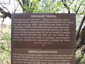 The Dinosaur Tracks