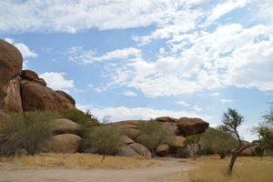 The San People Living Museum