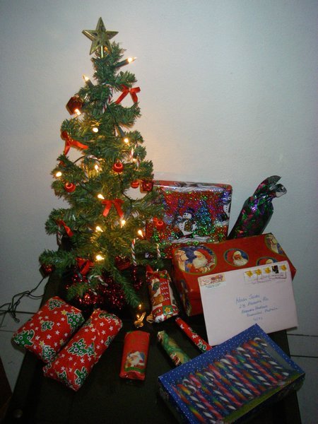 My Little Christmas tree! 