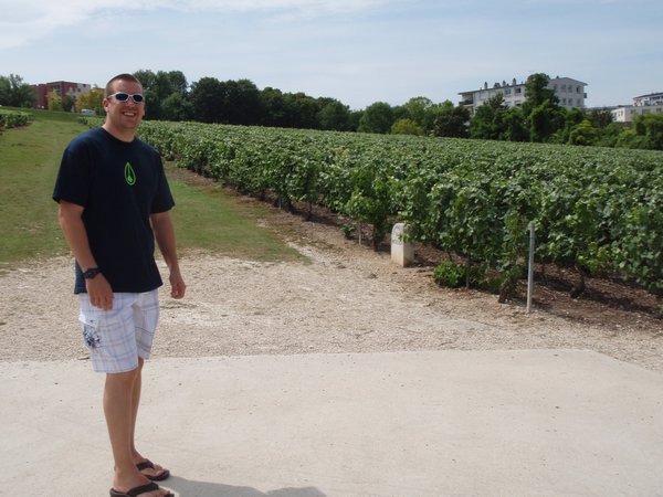 Mercier vineyard and Dave