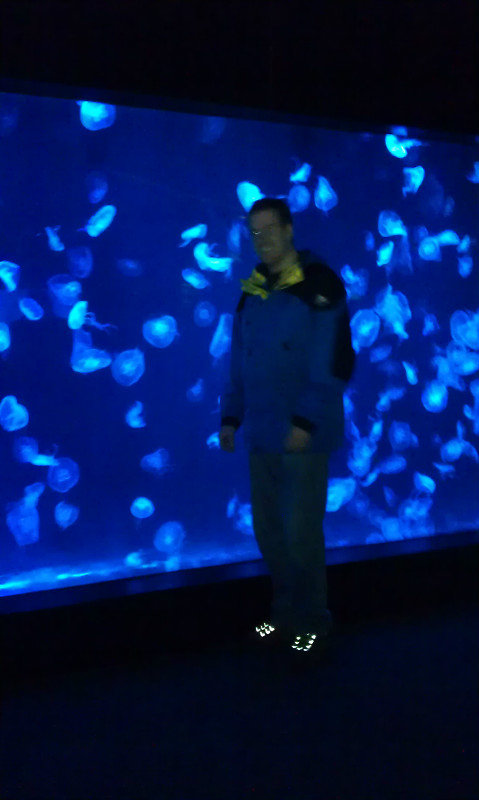 Shanghai Aquarium