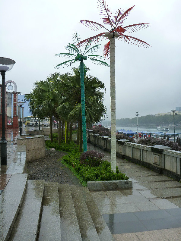 Electric Palm Trees That Line The River & Canal System