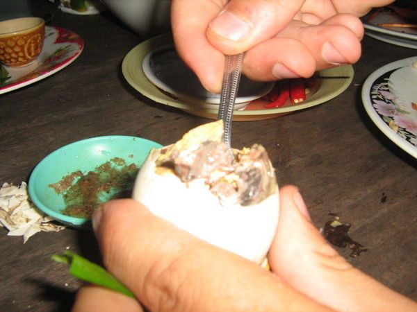 Another Helping of Balut