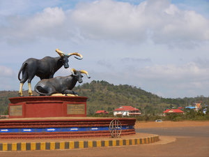The Monoram Bull