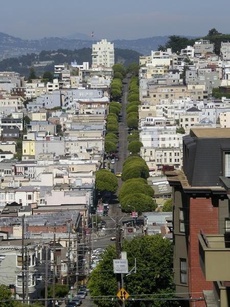 View from Lombard St