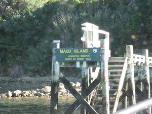 Maud Island Pier