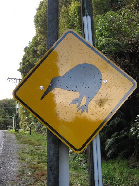 Beware of the Kiwi