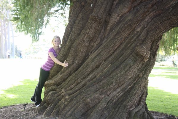 Tree hugger in Kings park