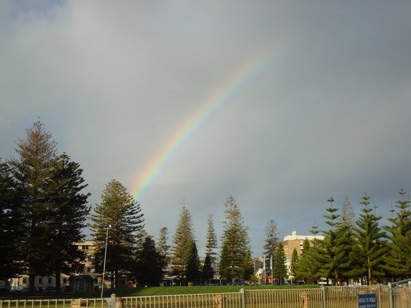 Australian Rainbow