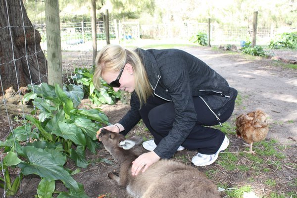 Petting my first kangaroo!!