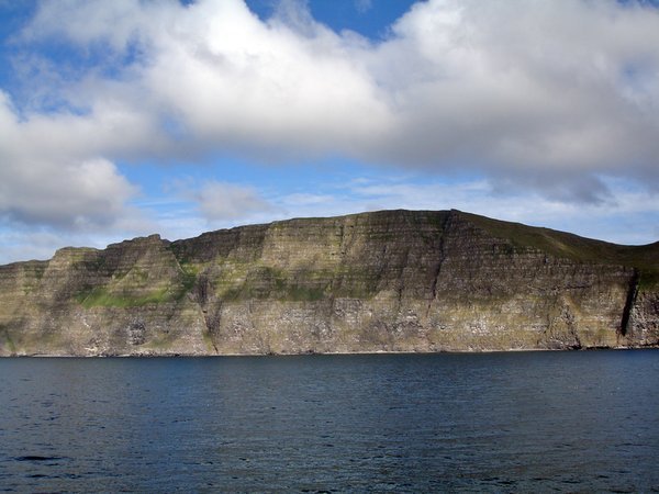 Birding cliffs 2 Iceland