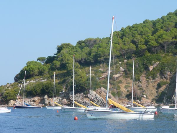 Sailboats of the island