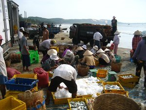 The fish markets