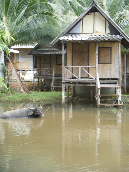 Our home in Ko Chang