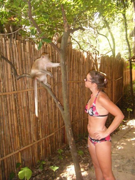 Chatting with the monkeys