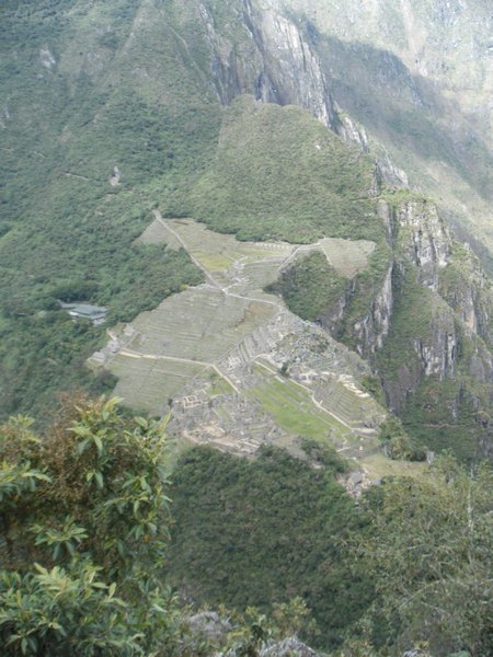 View of Machu Picchu from Wayne Picchu