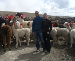 Happy out with the lamas
