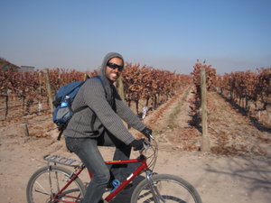 Bike and Wine Tour