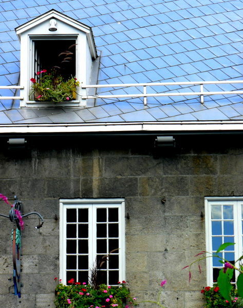Windows and flowers in Place Jacques-Cartier