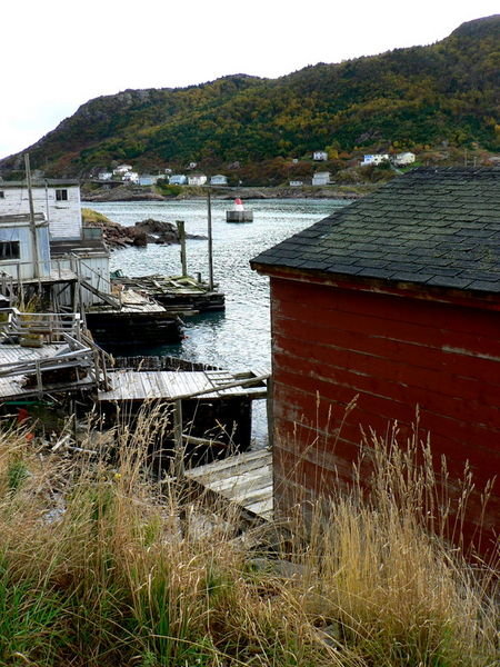 The Harbour walk to Signal Hill, St Johns - Newfoundland
