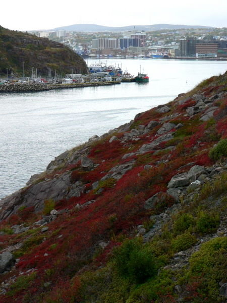 Looking back to St Johns - Newfoundland