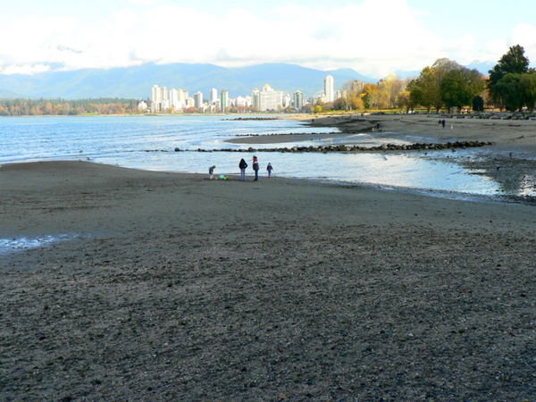 Vancouver view from Kits Beach