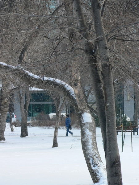 Cold and snow in Regina, Saskatoon