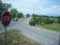 Gypsy life in Bulgaria