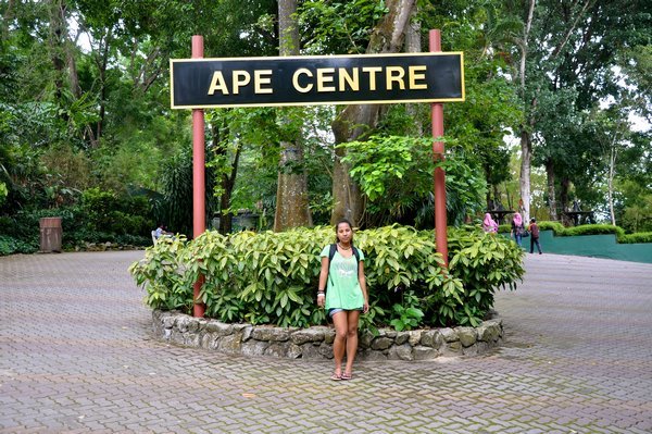 Ape Center