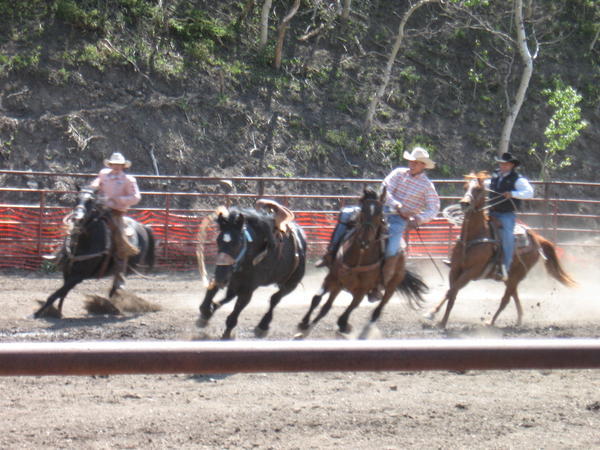 cowboys in action