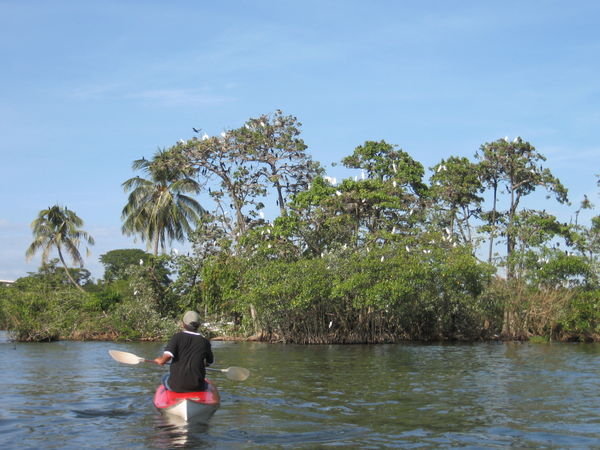 paddling towards Islas de Pajaros