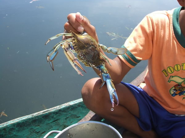 Boy and Crab