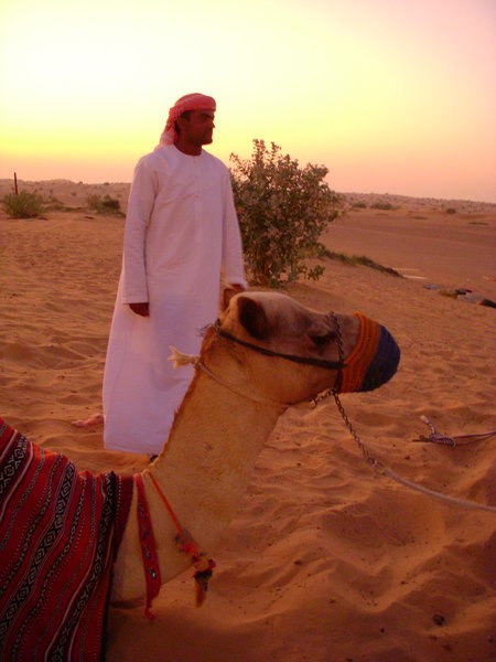 camel and minder 